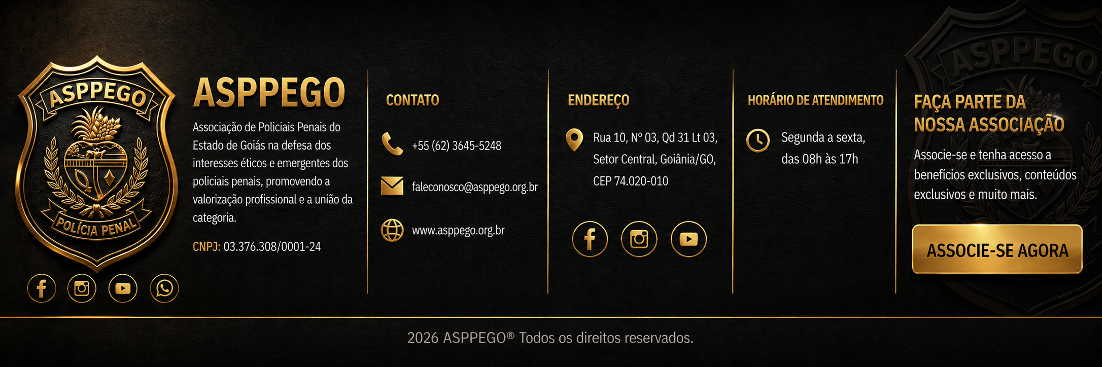 Rodapé ASPPEGO com contatos, endereço, horário de atendimento e redes sociais